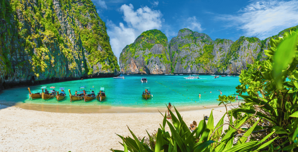 Pattaya Phuket Tour Package 7N/8D – Coral Island, Phi Phi Island & Tiger Topia