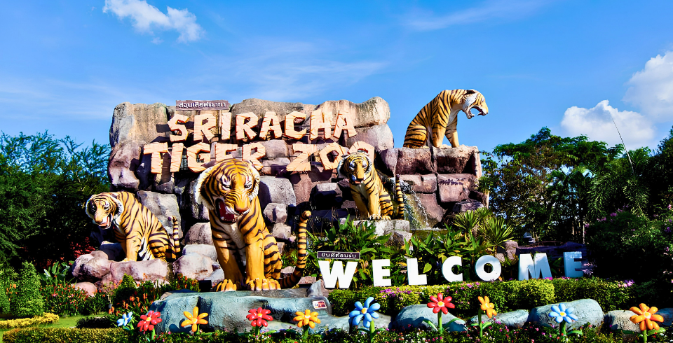 Thailand Tour Package 4N/5D – Bangkok & Pattaya with Coral Island, Temples & Safari World