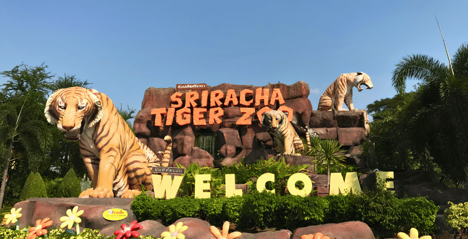 Pattaya Phuket Tour Package 7N/8D – Coral Island, Phi Phi Island & Tiger Topia