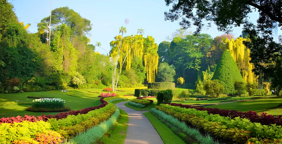 Sri Lanka Diwali Getaway – Explore the Pearl of the Indian Ocean