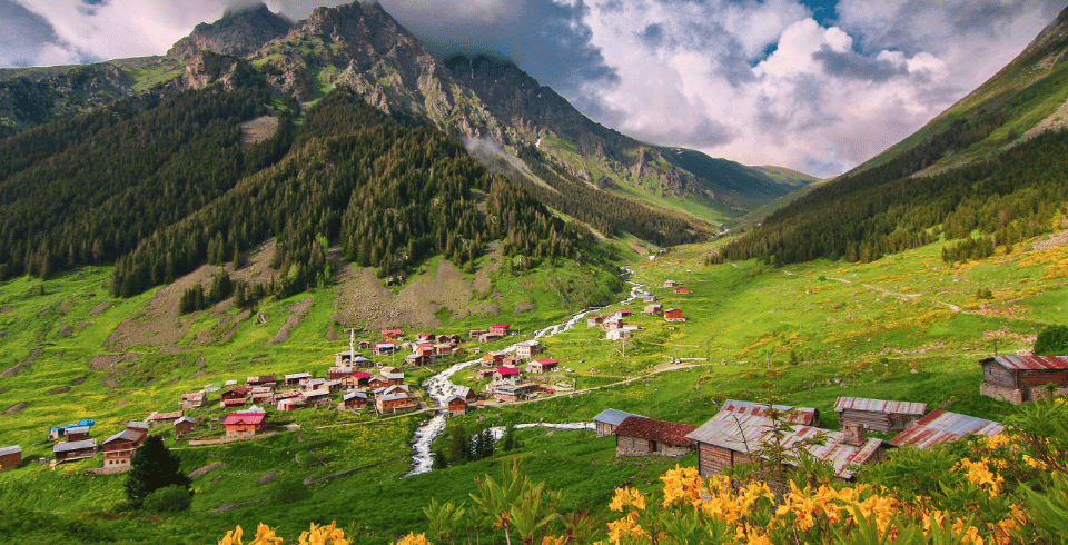Kullu Manali Tour Package 3N/4D – Ex Chandigarh