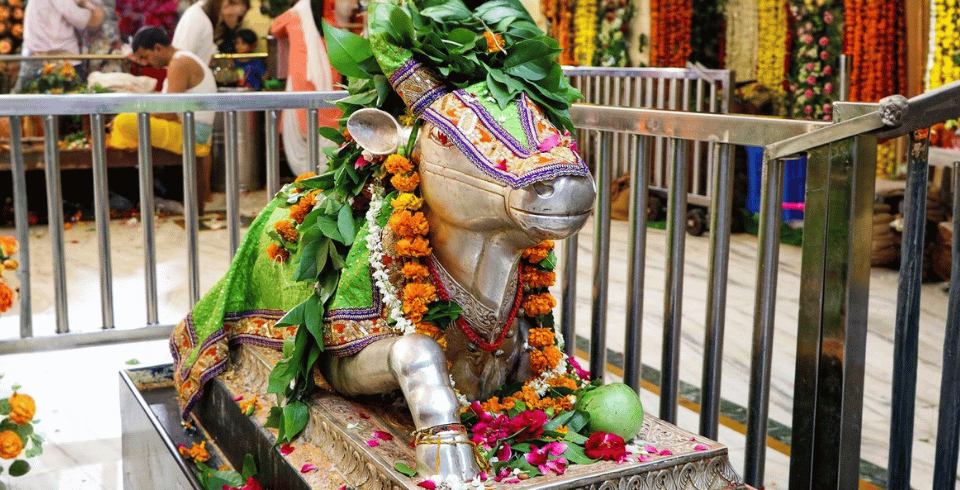 MADHYA PRADESH - JYOTIRLINGAS TOUR