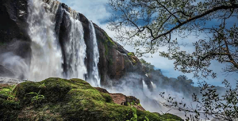 Kerala Bliss: Tea Gardens, Wildlife & Houseboats