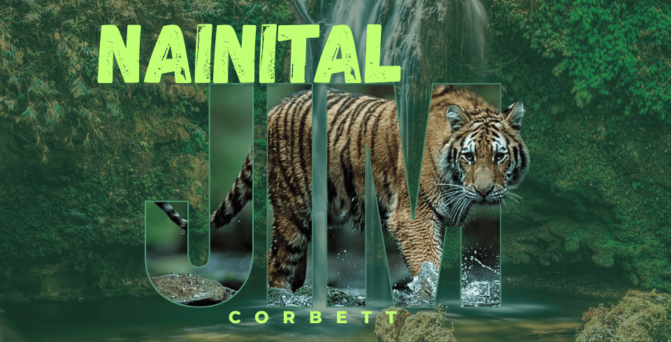 Nanital  Tour Package 