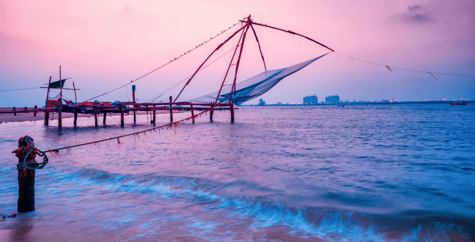 Kerala Bliss: Tea Gardens, Wildlife & Houseboats