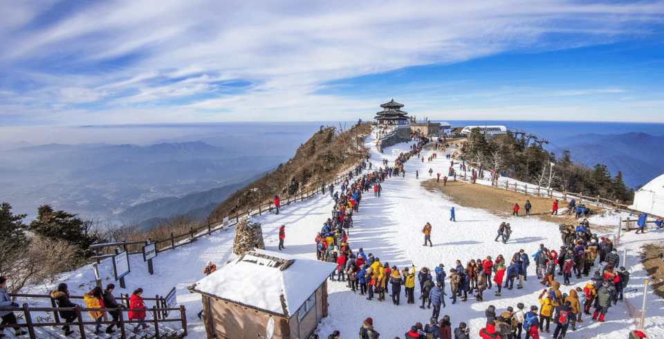 Dalhousie Delight: Meadows, Mountains & Memories