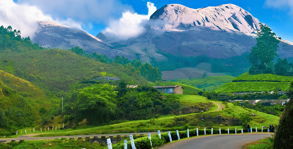 God’s Own Nature – Hills, Wildlife & Backwaters | 4 Nights / 5 Days