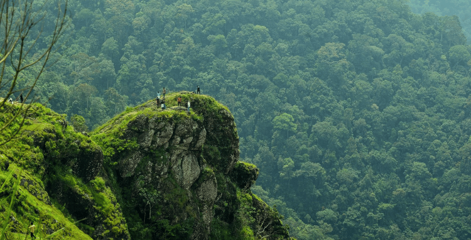 ENCHANTING KERALA BACKWATERS & HILLS TOUR PACKAGE