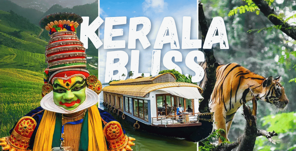 Kerala Bliss: Tea Gardens, Wildlife & Houseboats