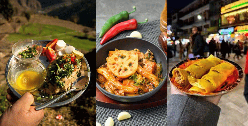 HILL STATIONS LIKE SHIMLA , MANALI DHARAMSHALA & DALHOUSIE 