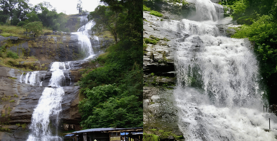God’s Own Nature – Hills, Wildlife & Backwaters | 4 Nights / 5 Days