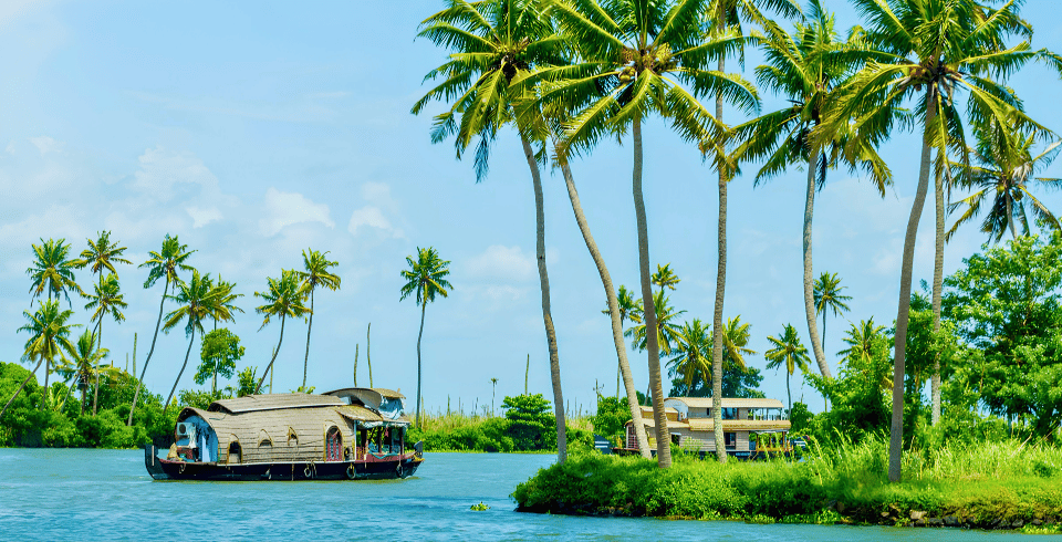 God’s Own Nature – Hills, Wildlife & Backwaters | 4 Nights / 5 Days
