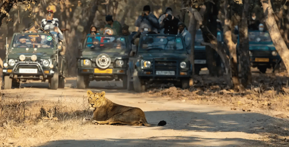 Gujarat Spiritual & Coastal Heritage Tour Package 