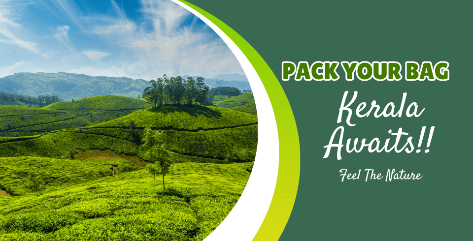 God’s Own Nature – Hills, Wildlife & Backwaters | 4 Nights / 5 Days