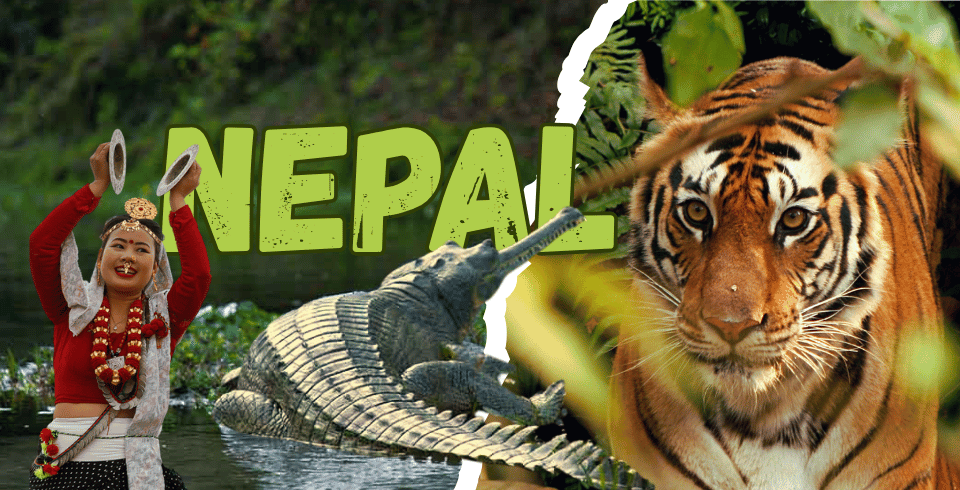 Nepal Heritage, Nature & Wildlife Tour Package 