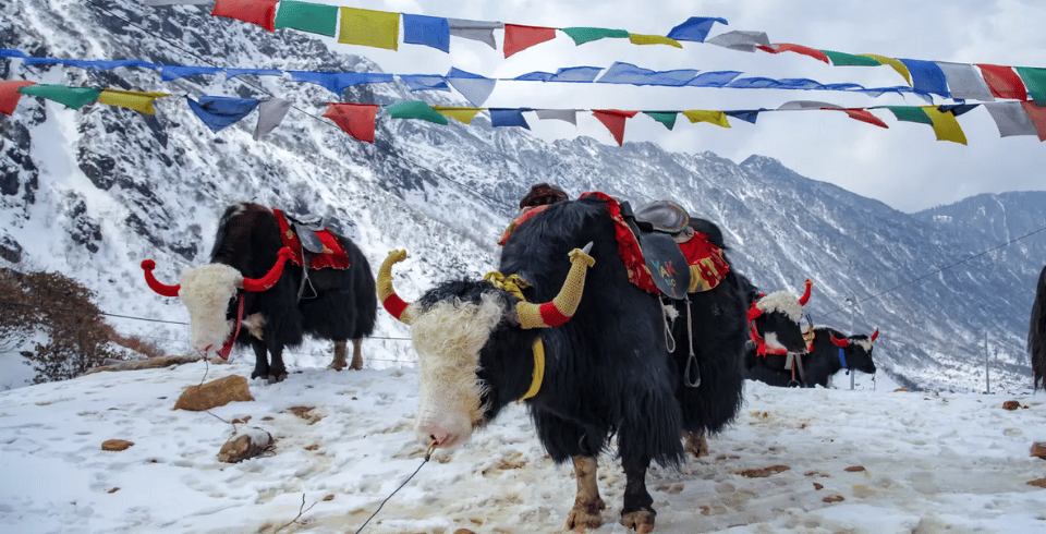 Sikkim & Darjeeling Delight Tour Package