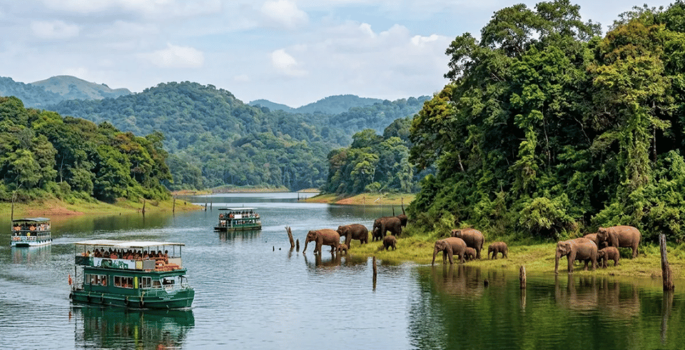 Kerala Bliss: Tea Gardens, Wildlife & Houseboats
