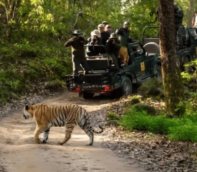Magical Nainital – Nature, Lakes & Mountain